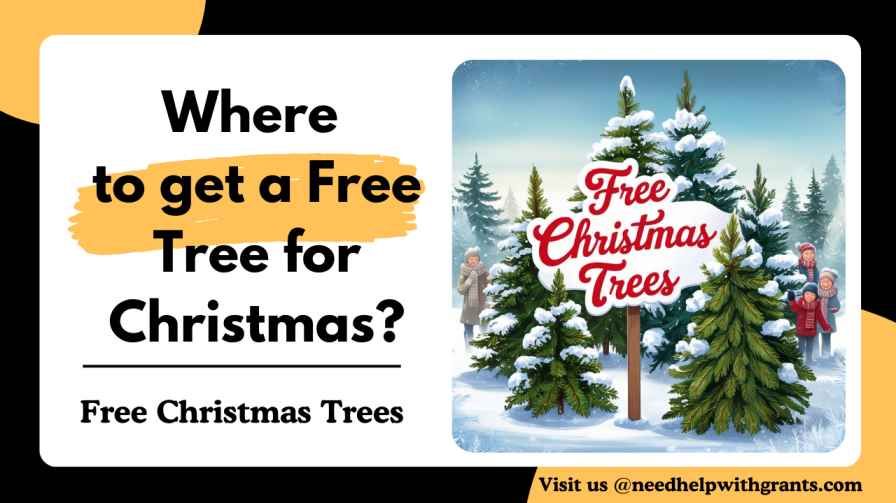 Free Christmas Trees